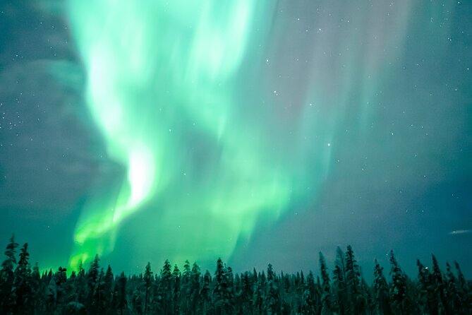 The Ultimate Guaranteed Aurora Hunt - Is it worth it? My take on who this tour fits best