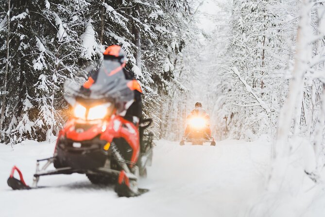 Thrill of Snowmobiling for Adults Only - Meeting Wild Nordic: What to Expect at the Start Point