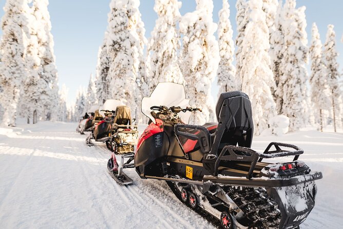 Thrill of Snowmobiling for Adults Only - Driving Setup: Shared 2-Seaters vs Single Driving