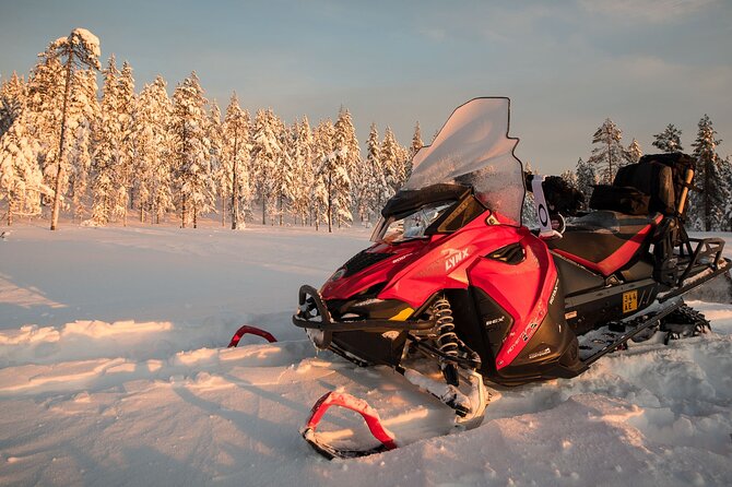 Thrill of Snowmobiling for Adults Only - What the Guides Actually Do With You (Belen, Ruben, and Adrian)