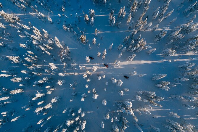 Thrill of Snowmobiling for Adults Only - Price and Value: Why $215 Can Make Sense Here