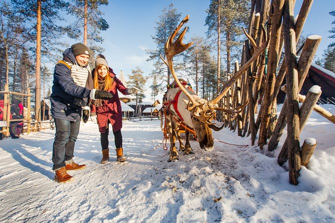 Trip to Arctic Circle, Santa Claus Village and Santas Reindeer - Who should book this Arctic Circle and Santa combo?