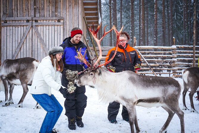 Two Full Days in Lapland - The Second Northern Lights Tour: Why a Second Try Is Worth It