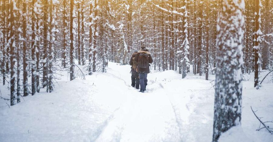 Vikakongas Hike: Nature and Silence - Key things I’d circle before you go