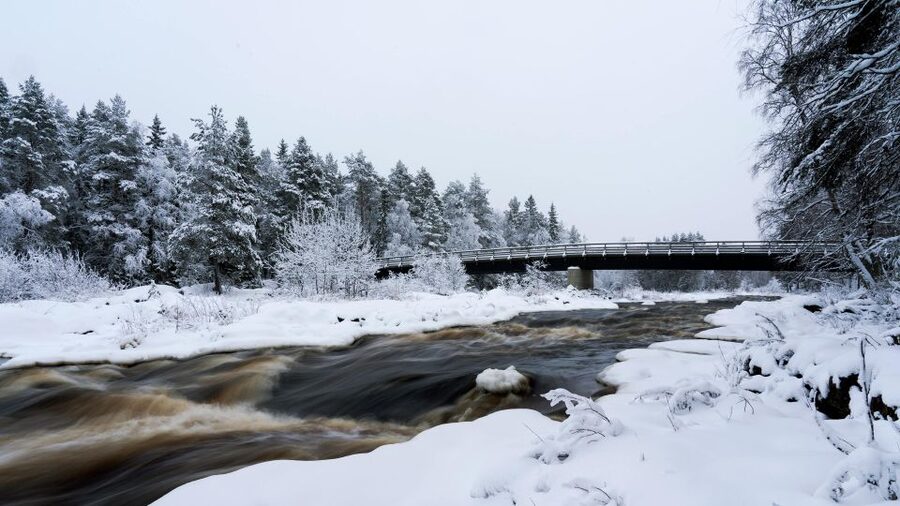 Vikakongas Hike: Nature and Silence - Why the Vikakongas Trail Is Worth Your Winter Time in Rovaniemi