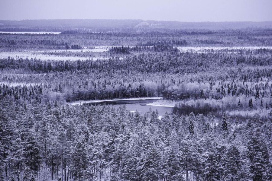 Vikakongas Hike: Nature and Silence - From Rovaniemi Pickup to the River Bridge: How the Hike Starts