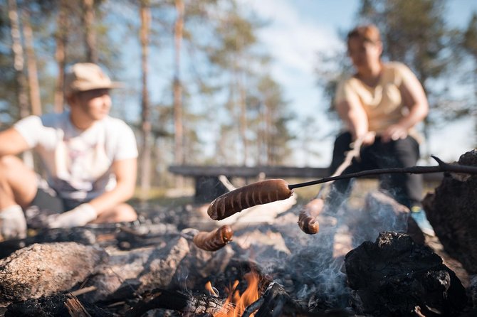 Wild Berries and Mushroom picking tour - Key Foraging Facts Before You Go
