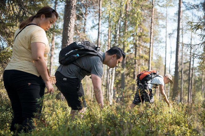 Wild Berries and Mushroom picking tour - What You Actually Eat: Berries, Snacks, Coffee, and Juice by the Open Fire