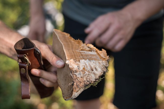 Wild Berries and Mushroom picking tour - Who This Foraging Tour Fits Best (and Who Might Skip It)