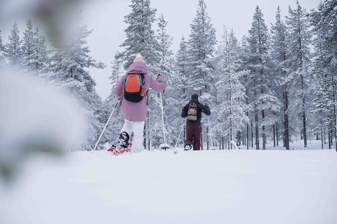 Wilderness snowshoe adventure - Snowshoeing out of Rovaniemi, into a quieter Arctic forest