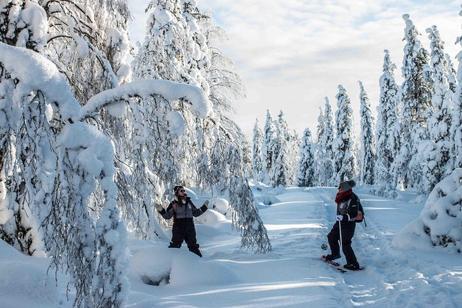 Wilderness snowshoe adventure - What you actually get for the price in Rovaniemi