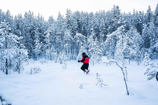 Wilderness snowshoe adventure - Practical details that affect your comfort (without the guesswork)