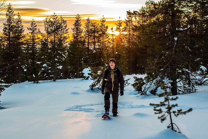 Wilderness snowshoe adventure - Should you book this Wilderness Snowshoe Adventure from Rovaniemi?