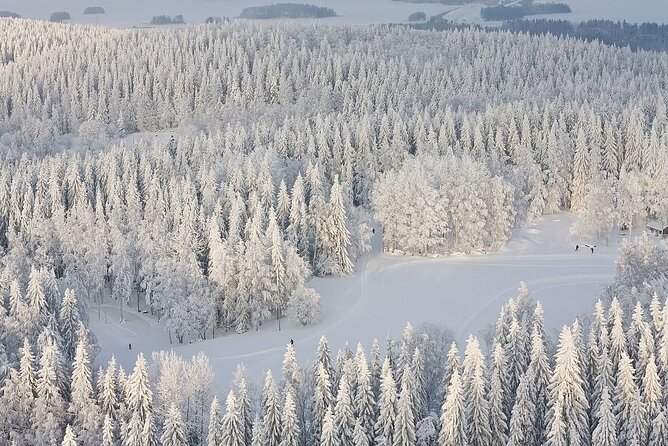 Winter Quad Bike Ride in the Arctic Circle from Rovaniemi - How Winter Quad Bikes Outside Rovaniemi Actually Play Out