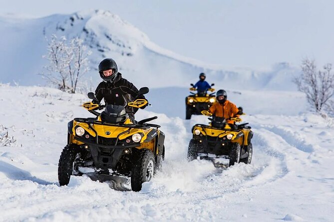 Winter Quad Bike Ride in the Arctic Circle from Rovaniemi - Price and Value: Is $172.37 Worth It?